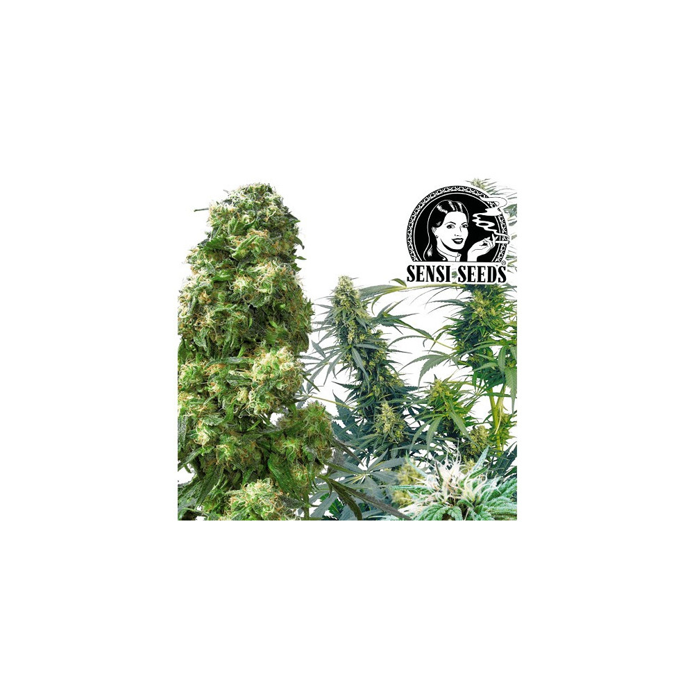 Outdoor Mix (25 semien)