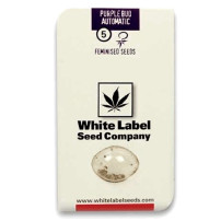 PURPLE BUD AUTOMATIC (3 semienka) White Label