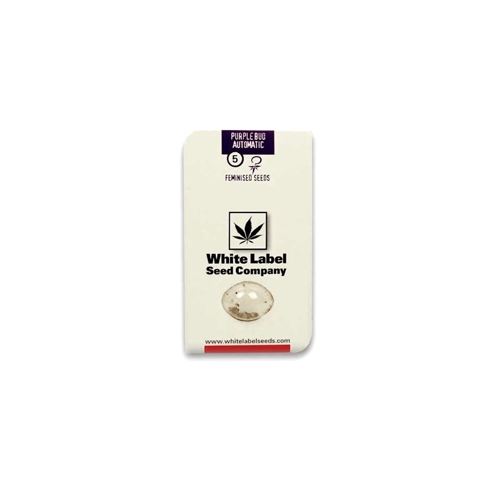 PURPLE BUD AUTOMATIC (3 semienka) White Label
