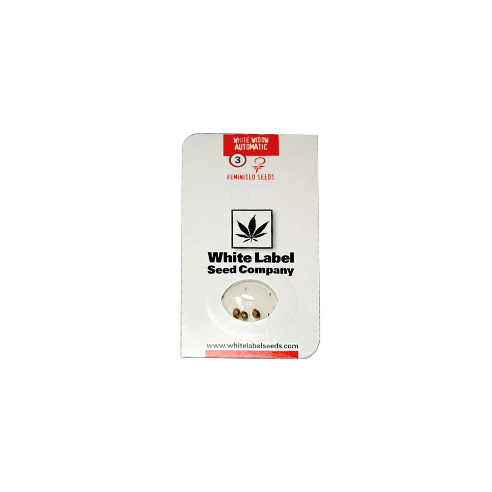 White Widow Automatic (3 semínka)