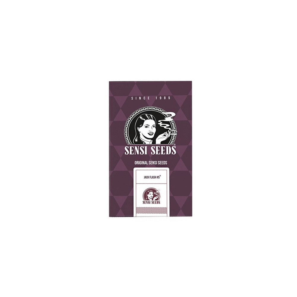 Jack Flash no.5 Feminizovaná (3 semínka)