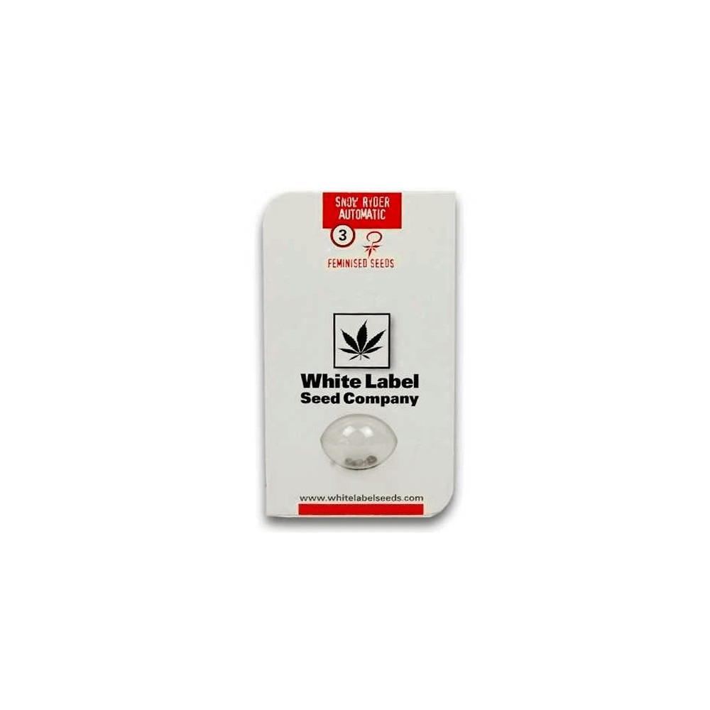 SNOW RYDER AUTOMATIC (3 semienka) White Label