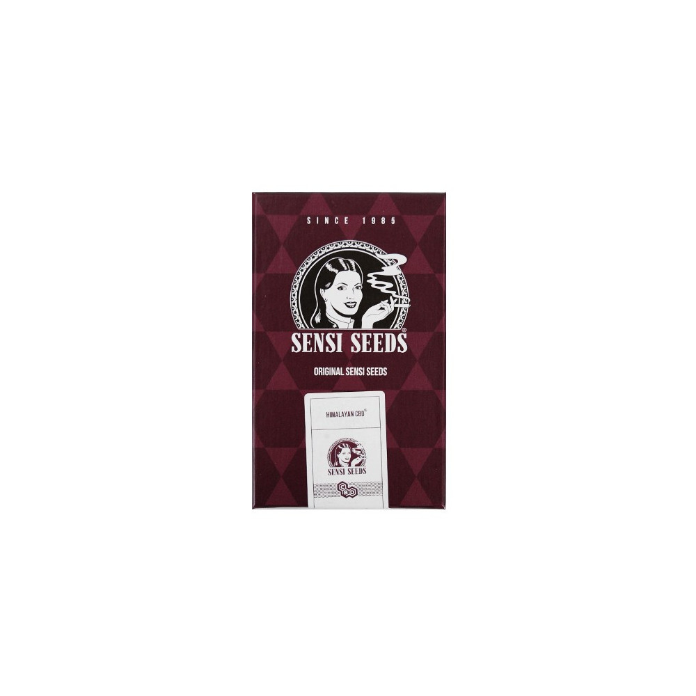 Konopné semená SENSI SEEDS: Himalayan CBD feminized (3 semienka)