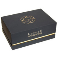 Kaloud Lotus II (2) - Heat Management