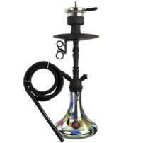 VF AMY Deluxe Rainbow middle