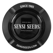 Dárkový SET Sensi Seeds s konopným semínkem Cobalt Haze