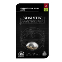 balení semen marihuany Caramellow Kush Automatic (3 semínka) - Semena marihuany Sensi Seeds Research