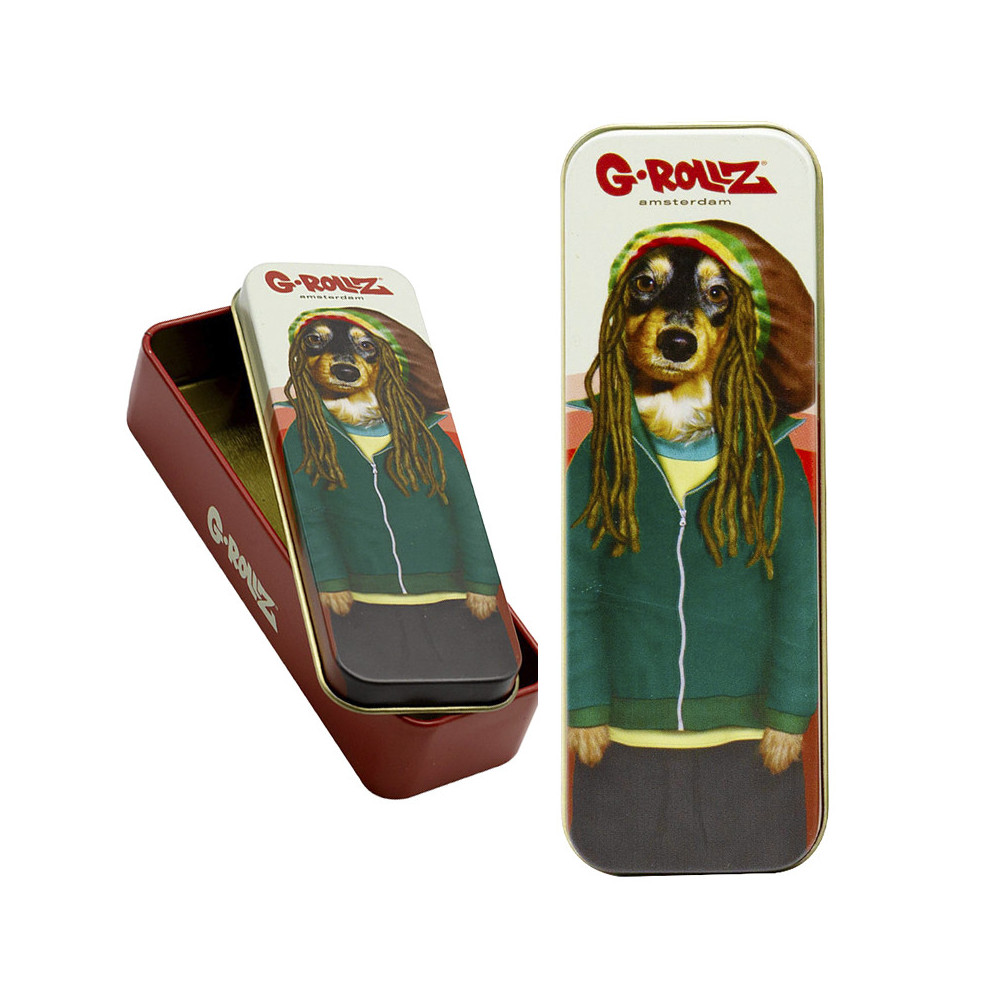 DreamBox G-ROLLZ Pets Rock Small box B