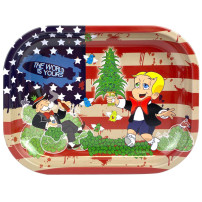 Tác Roll Tray American Dream 18x14 cm