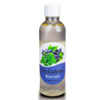Shishasyrup 100ml - Borůvka a máta
