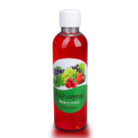 Shishasyrup 100ml - Máta a lesní plody