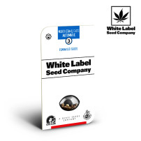 WL - Northert Light Automatic Feminised (3 semena) - v obalu