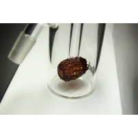 Precooler Black Leaf