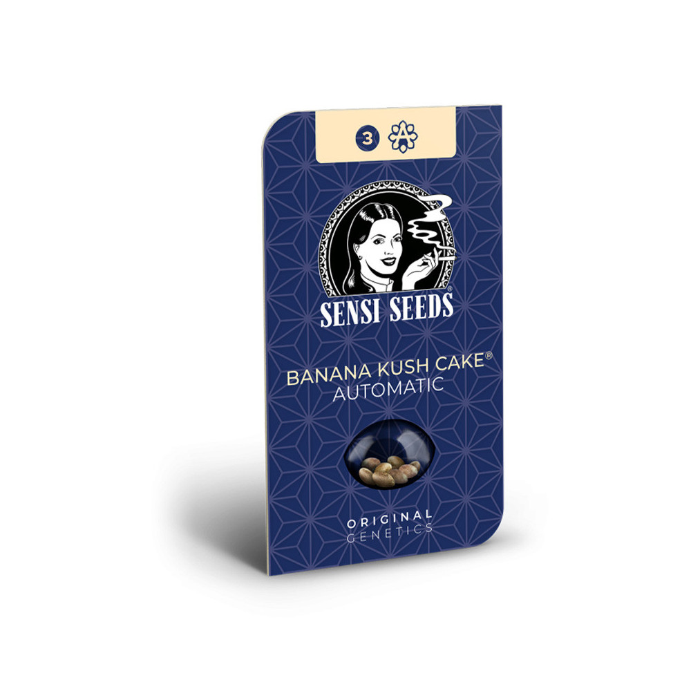 Sensi Seeds Banana Kush Cake (3 semena) - Automatické- krabička