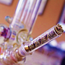 V12 Twisty Blunt