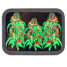 Box Ganja