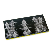 Papírky Buds and Joints