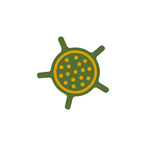Alobal