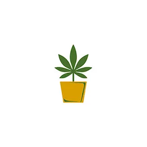 Growshop – potřeby pro pěstování rostlin | BongoShop.cz