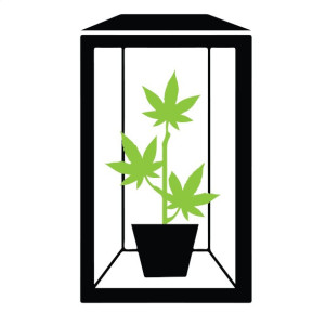 Growboxy