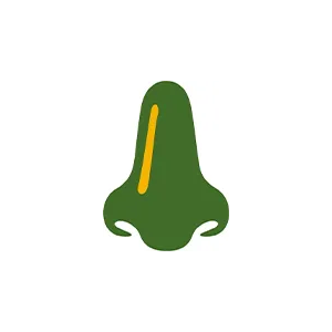 Šňupátka