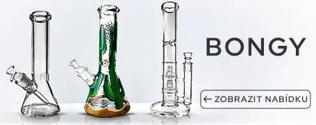 Bongy