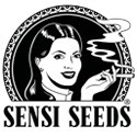 Sensi Seeds